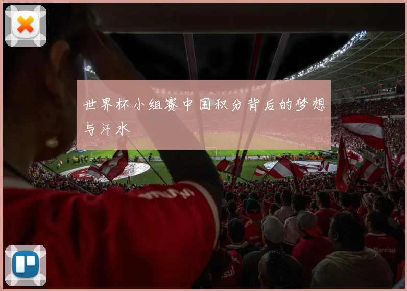 世界杯小组赛中国积分背后的梦想与汗水