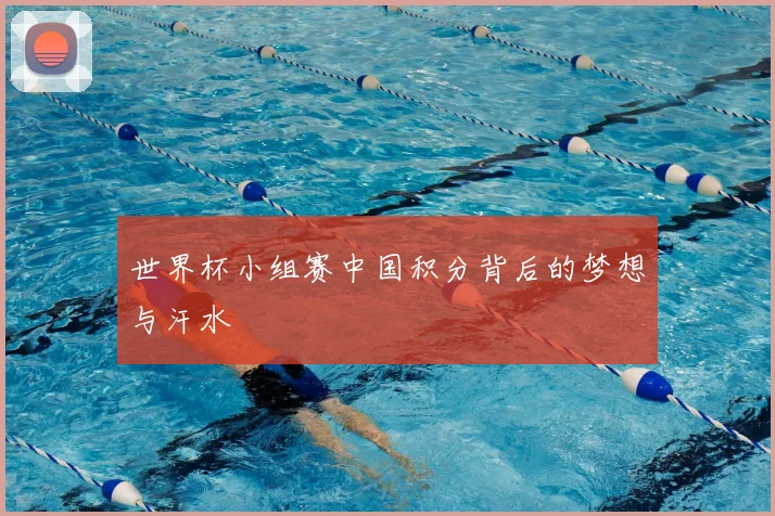 世界杯小组赛中国积分背后的梦想与汗水
