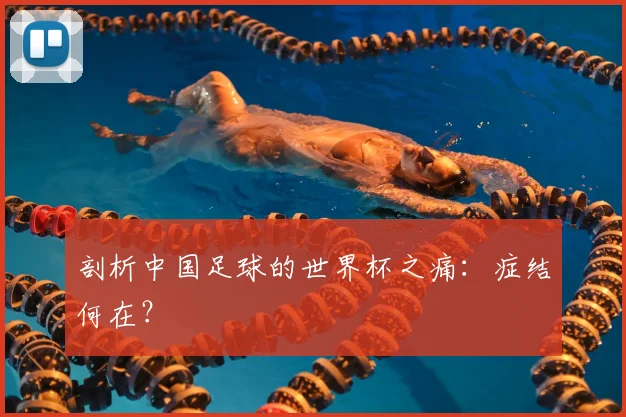 剖析中国足球的世界杯之痛:症结何在?