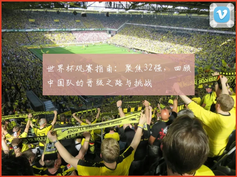 世界杯观赛指南：聚焦32强，回顾中国队的晋级之路与挑战