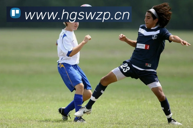 开云官方版入口APP 体育赛事宣传图